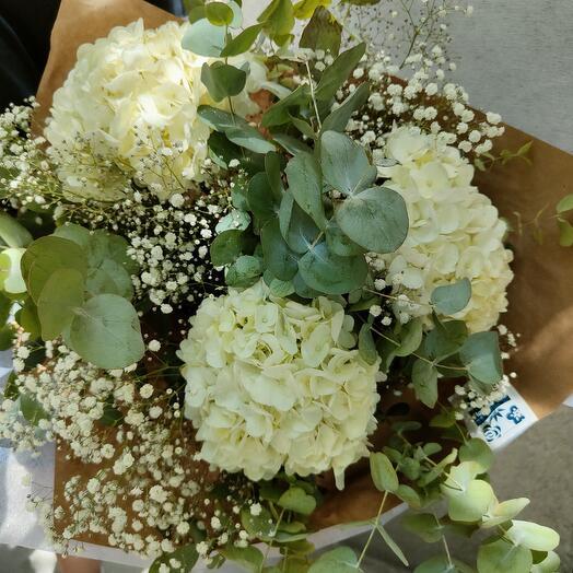 Bouquet hortensias blancas