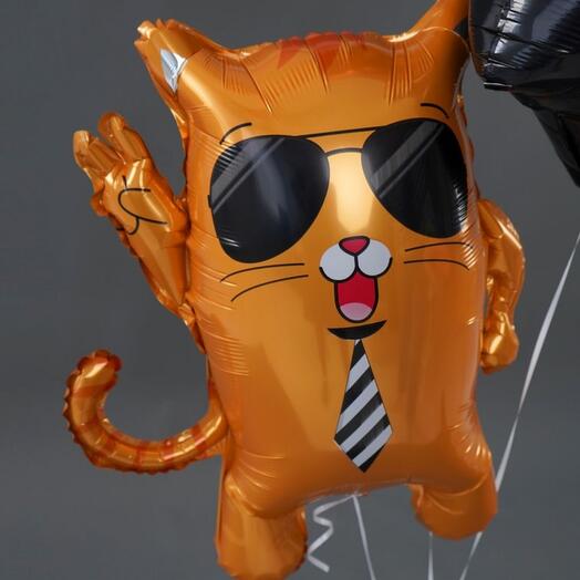 Воздушный шар "Крутой кот"