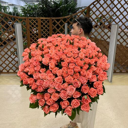 151 РОЗА 😍