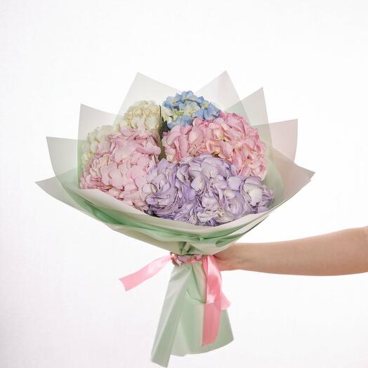 5 гортензий