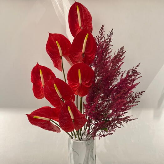 Red Anthurium and Red Astible With Ceramic Vase