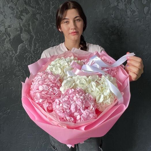 Букет из гортензий, гортензия розовая, гортензия Белая