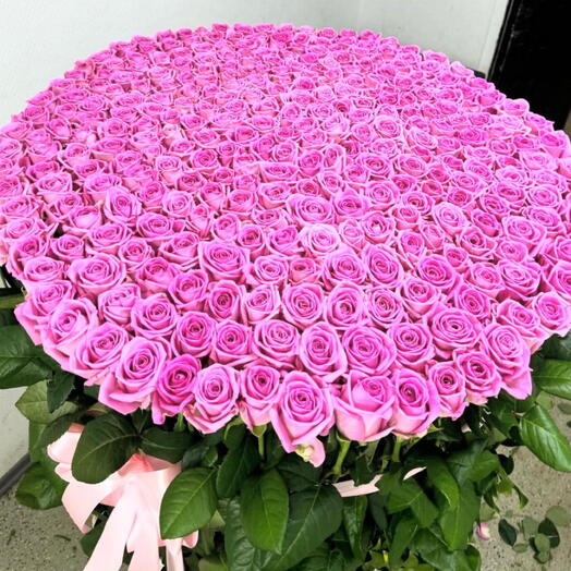 401 pink roses in basket