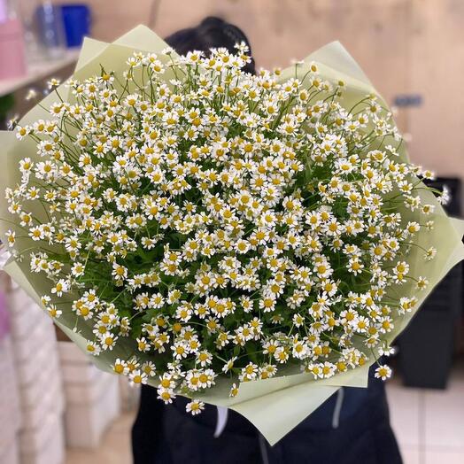 Букет из кустовых ромашек