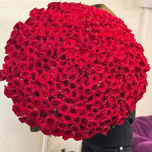 301 КРАСНАЯ РОЗА 🌹  ️
