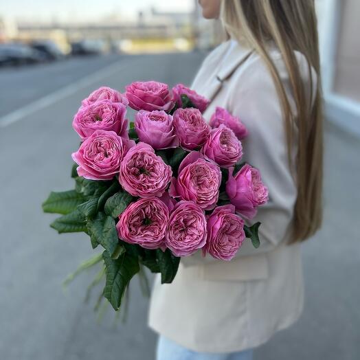 Роза Редженс Парк 15шт