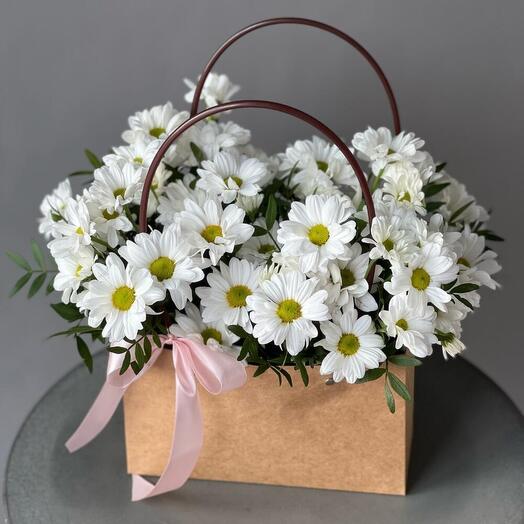 Хризантема ромашки в коробке