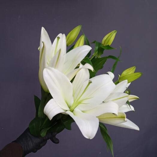 Букет 3 лилии