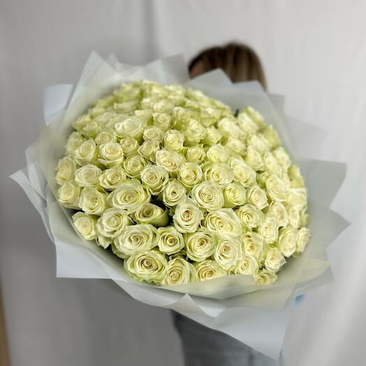 101 White Roses