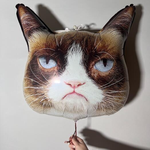 Foil balloon "Angry Cat"