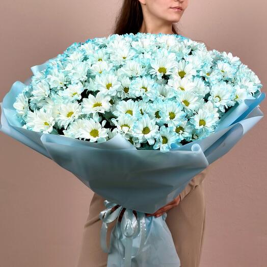 Небесный букет из 35 хризантем-ромашек 02-0150-035