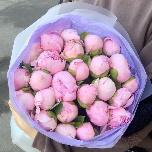 Пионы