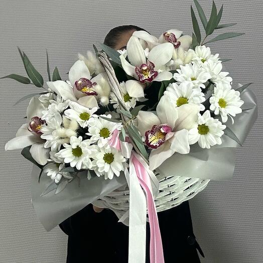 Корзина с орхидеей, хризантема кустовая
