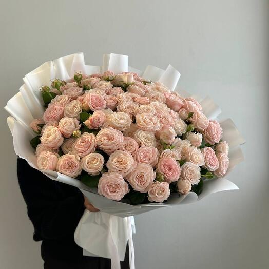 Кустовые розы бомбастик 59