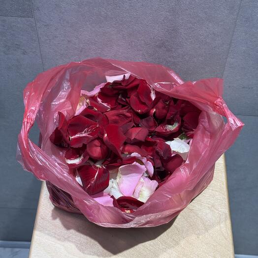Pétalos de rosa