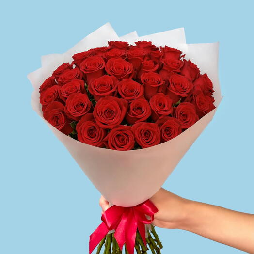 Elite Elegance: 33 Premium Red Roses