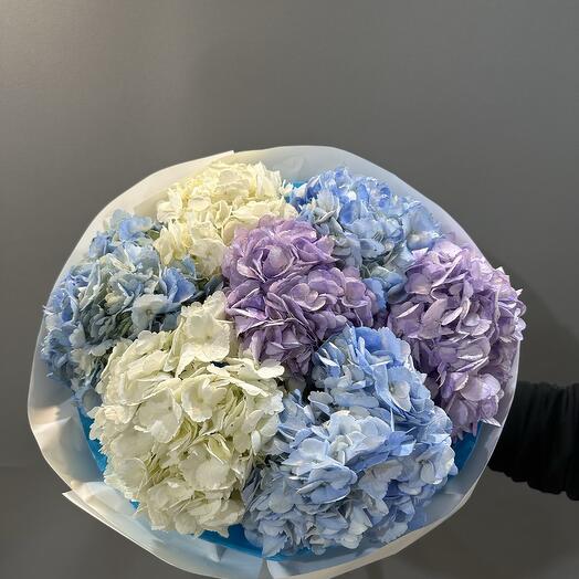 Mono bouquet of hydrangeas (7 pcs)