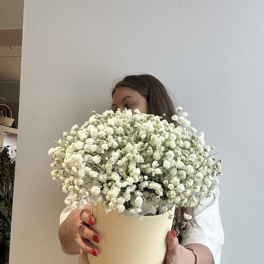 Букет из крупной гипсофиллы в коробке