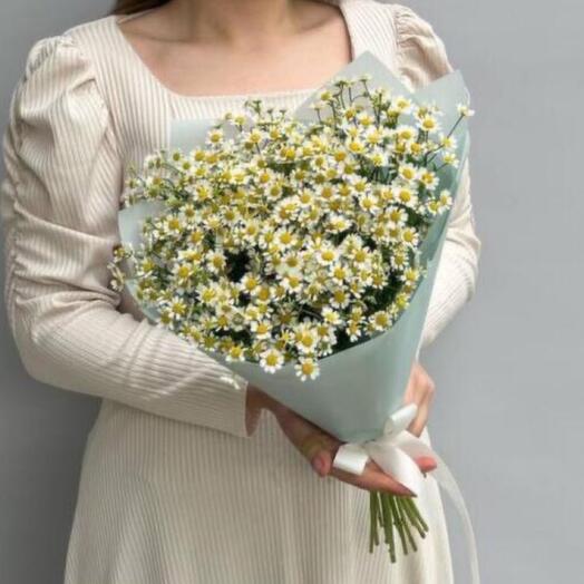 Bouquet of daisies