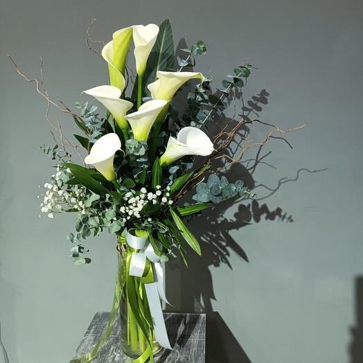 Monobooket de 7 callas