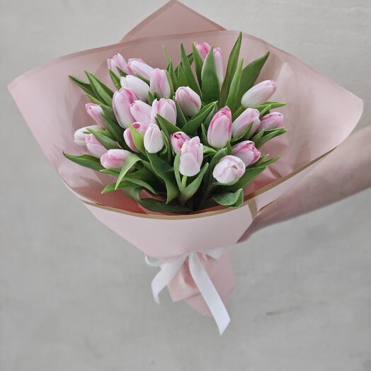 24 pink tulips