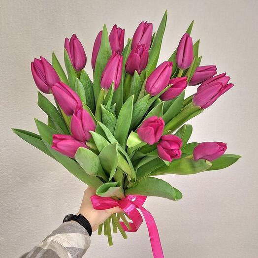 Тюльпаны 19 фуксия