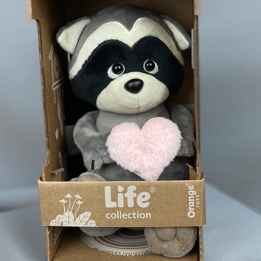 Raccoon fluffy dreams