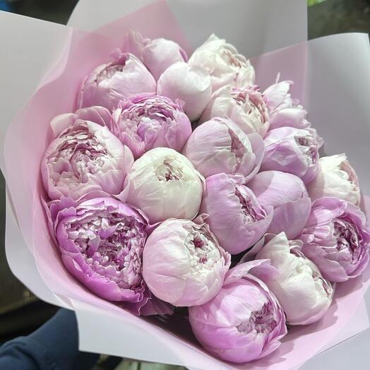 Букет из 19 пионов