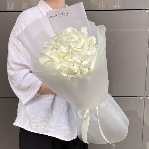 Гортензия белая 1шт