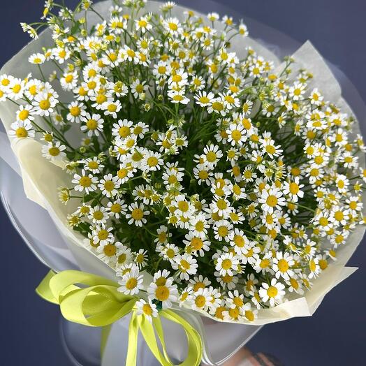 Ramo de Tanacetum