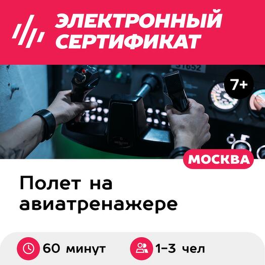Подарочный сертификат Пилотирование авиатренажера самолета Cessna-172 60 минут, 1-3 чел