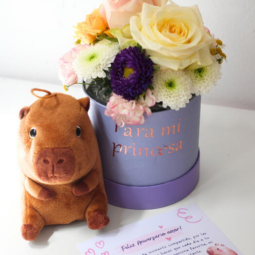 Pack: Capibara lover
