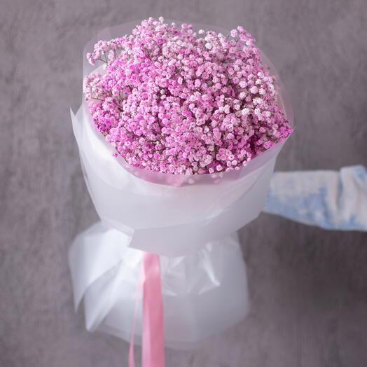 11 веток розовой гипсофилы