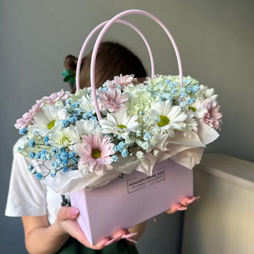 Ромашковый мир 🌸