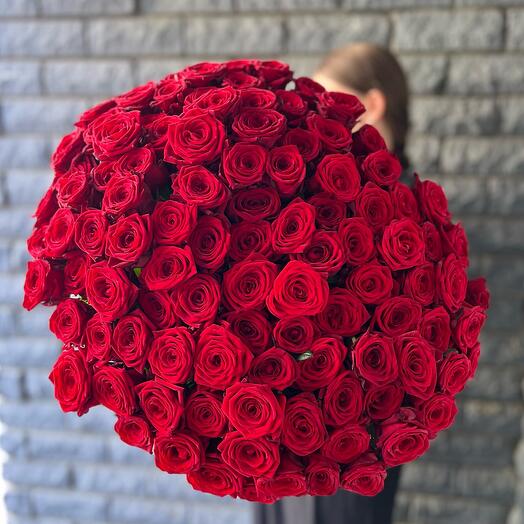 101 красная роза 🌹