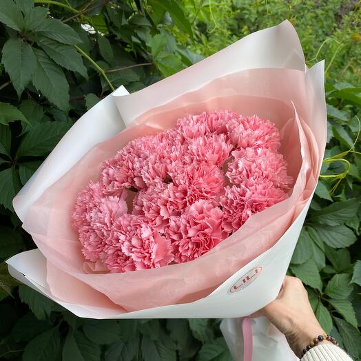 Стойкие диантусы