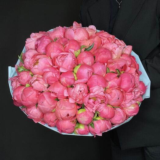 Розовые пионы