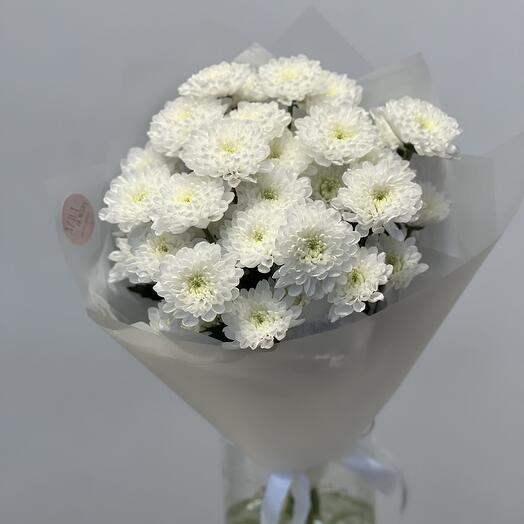 Моно ажурных кустовых хризантем Алтай