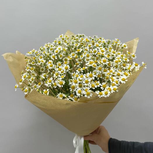 Букет ромашек