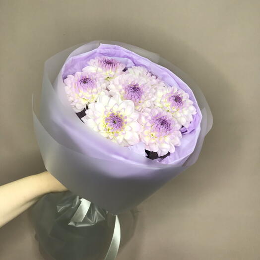 Георгины 7 шт