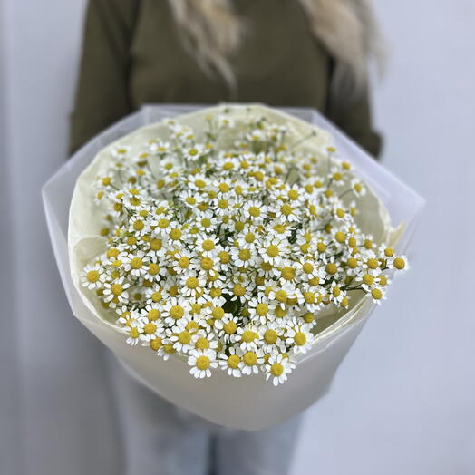 Букет из 11 кустовых ромашек