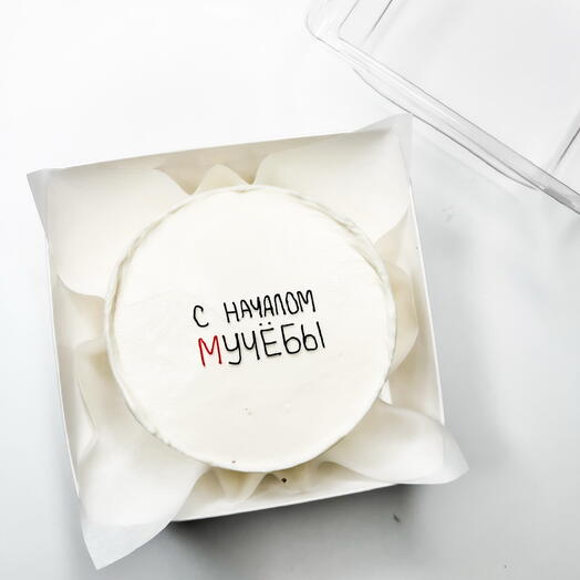 Бенто торт на 1 сентября / на День знаний / для школы /в школу / для школьника