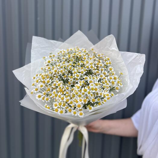Букет из матрикарии (ромашки)