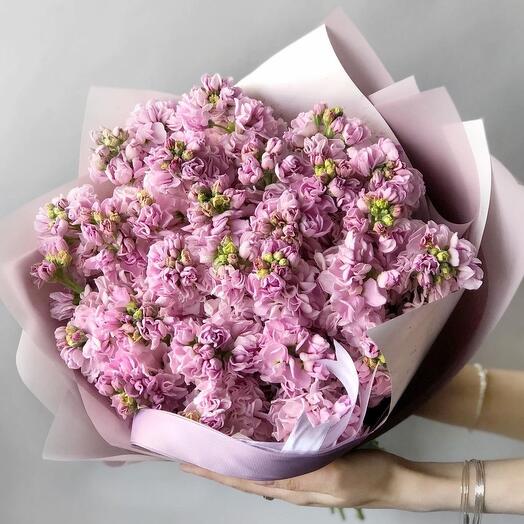 Моно маттиола