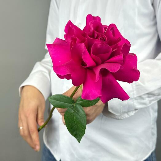 Ажурная роза Гоча