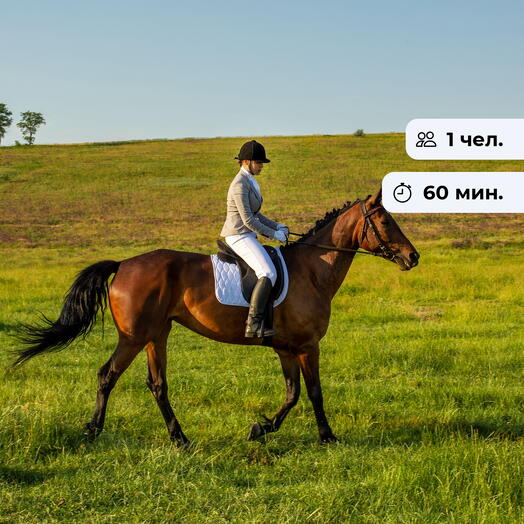 Будь на коне. Конная прогулка в д. Ильино