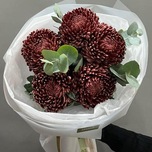 Хризантемы моно