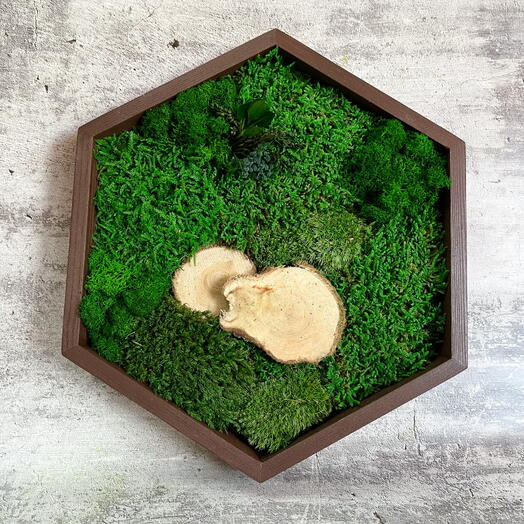 Фитокартина из мха подарок маме