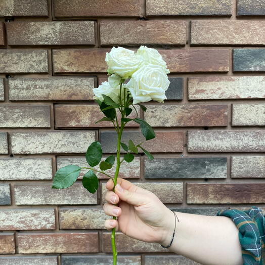 Lovers of Flowers