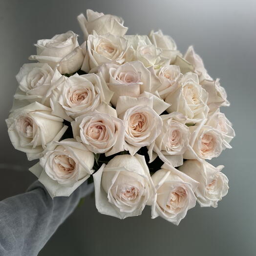 Dulce sueño de O Hara